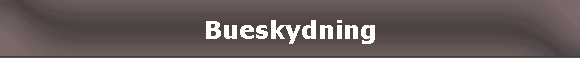Bueskydning