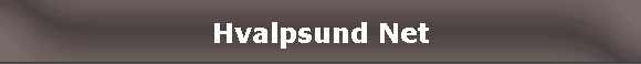Hvalpsund Net