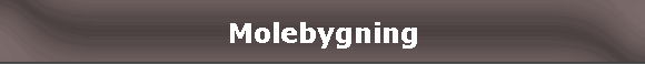 Molebygning