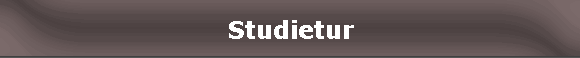 Studietur